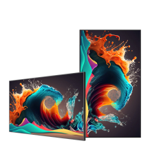 Vormatic 29" LCD Slim Display настенный внутренний