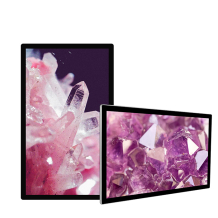 Vormatic 23.6" LCD Display настенный внутренний