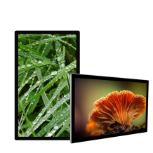 Vormatic 49" LCD Display настенный внутренний