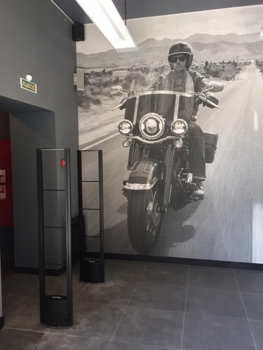 Мотосалон Harley-Davidson, г. Воронеж - 2 прохода по 120 см2