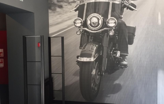 Мотосалон Harley-Davidson, г. Воронеж - 2 прохода по 120 см